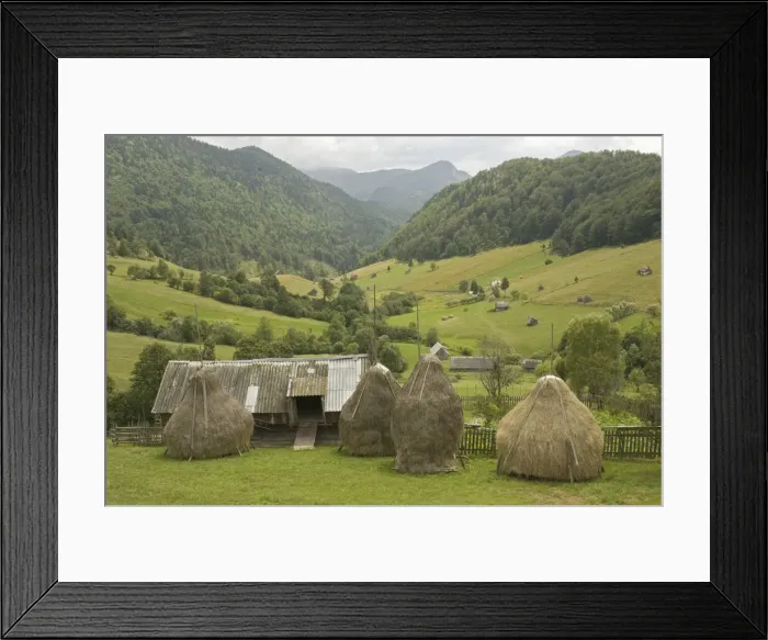 Framed Print : DDE-90034667 Framed Print : DDE-90034667