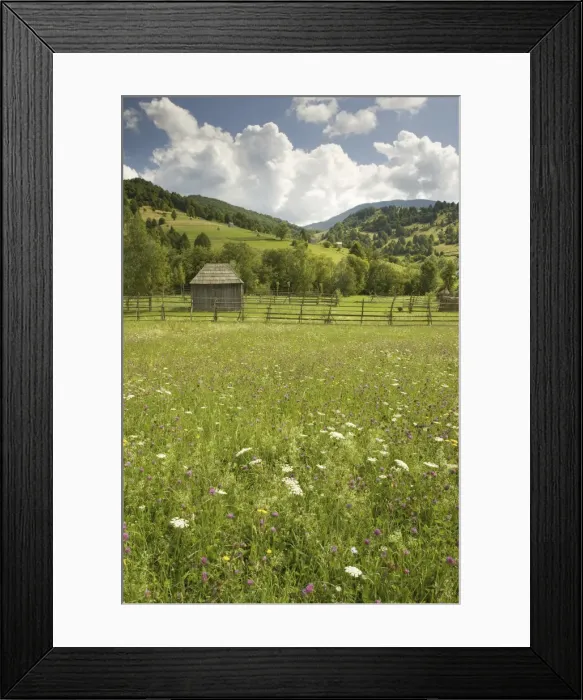 Framed Print : DDE-90034672