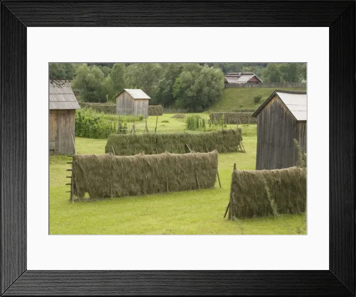 Framed Print : DDE-90034670 Framed Print : DDE-90034670
