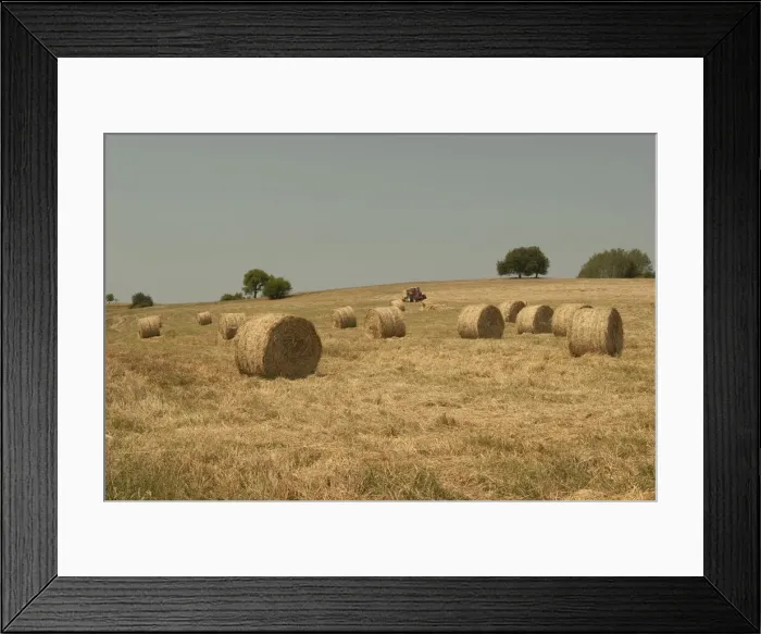 Framed Print : DDE-90034674 Framed Print : DDE-90034674