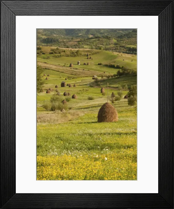 Framed Print : DDE-90034673 Framed Print : DDE-90034673