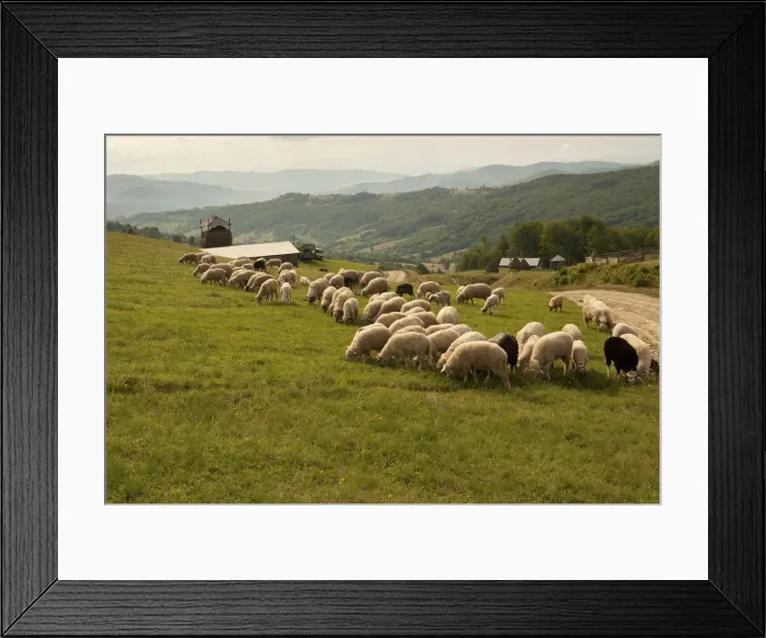 Framed Print : DDE-90034676 Framed Print : DDE-90034676