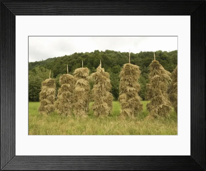 Framed Print : DDE-90034678 Framed Print : DDE-90034678