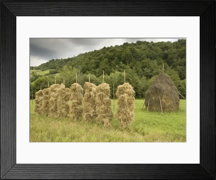 Framed Print : DDE-90034679 Framed Print : DDE-90034679