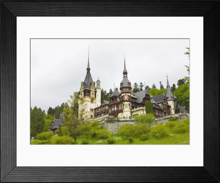 Framed Print : DDE-90034684 Framed Print : DDE-90034684