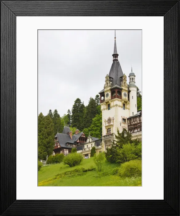 Framed Print : DDE-90034685 Framed Print : DDE-90034685