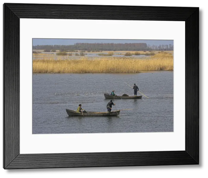Framed Print : DDE-90034687 Framed Print : DDE-90034687