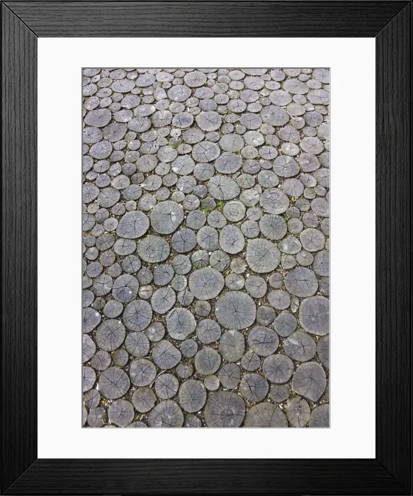 Framed Print : DDE-90034686 Framed Print : DDE-90034686