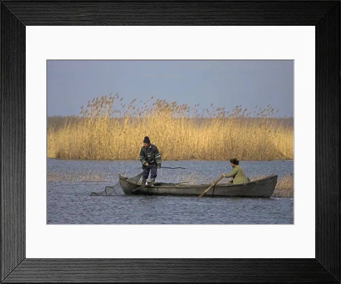 Framed Print : DDE-90034689 Framed Print : DDE-90034689