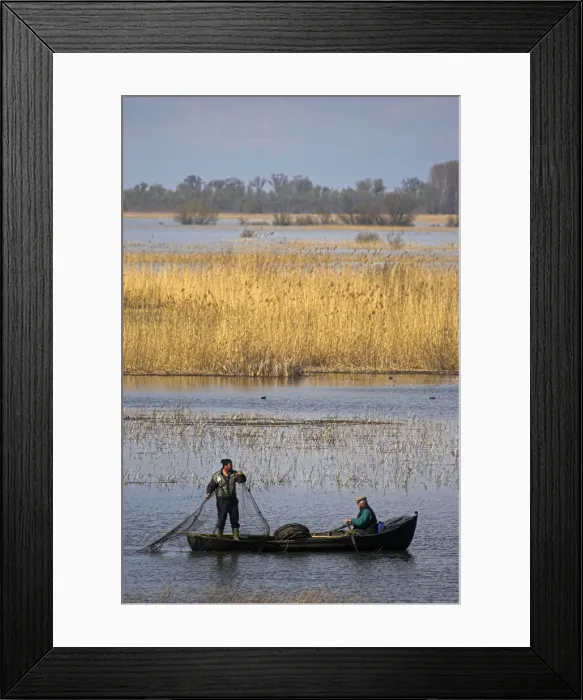 Framed Print : DDE-90034688 Framed Print : DDE-90034688