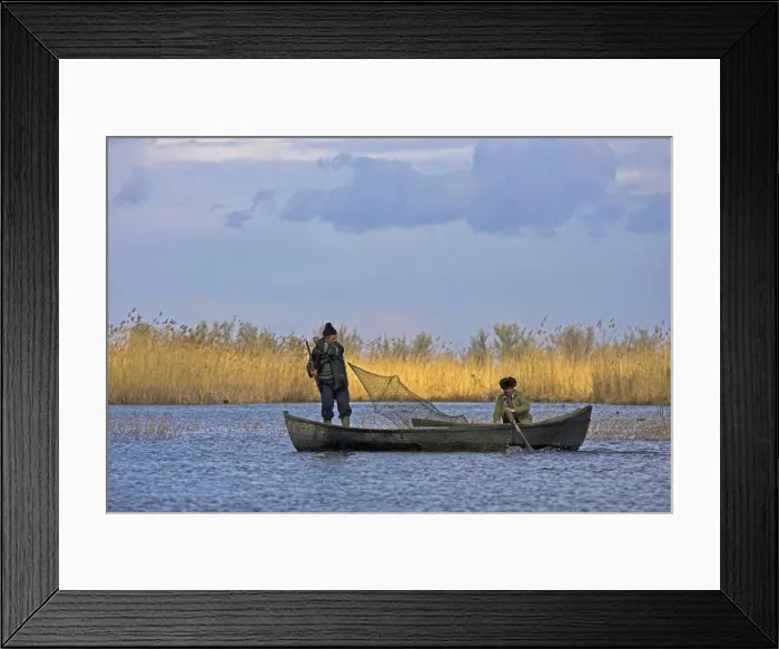 Framed Print : DDE-90034690