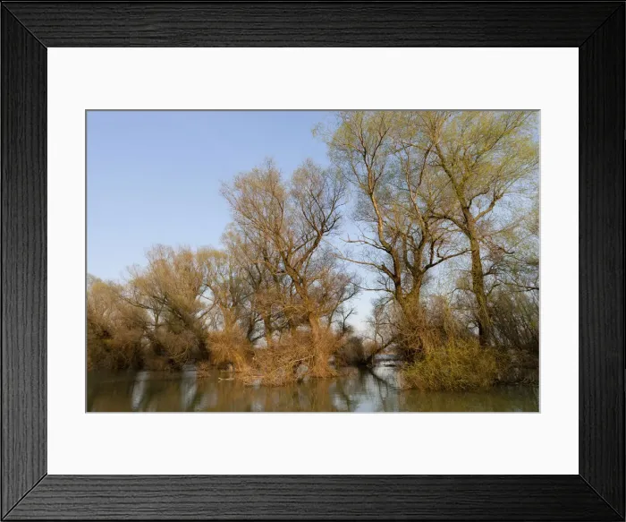 Framed Print : DDE-90034693