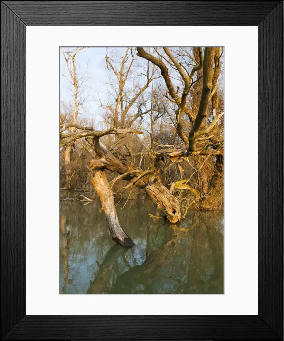 Framed Print : DDE-90034694 Framed Print : DDE-90034694