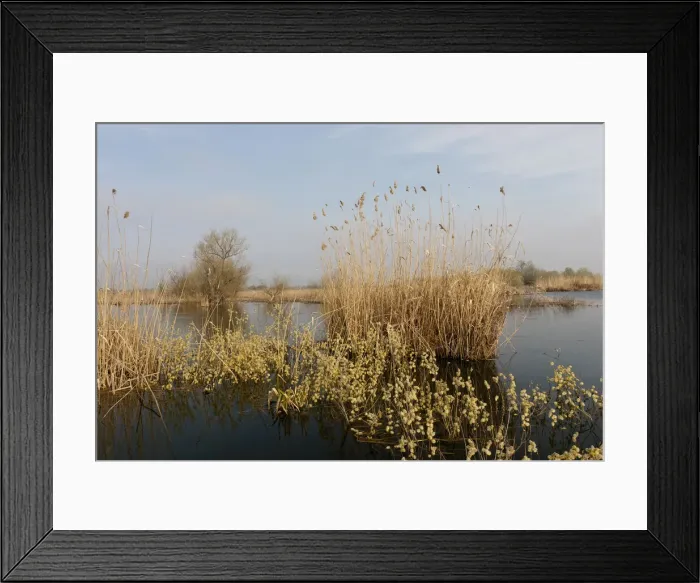 Framed Print : DDE-90034695 Framed Print : DDE-90034695
