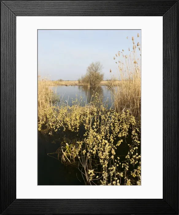 Framed Print : DDE-90034696