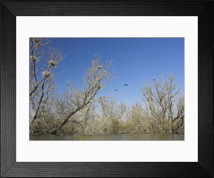 Framed Print : DDE-90034715 Framed Print : DDE-90034715