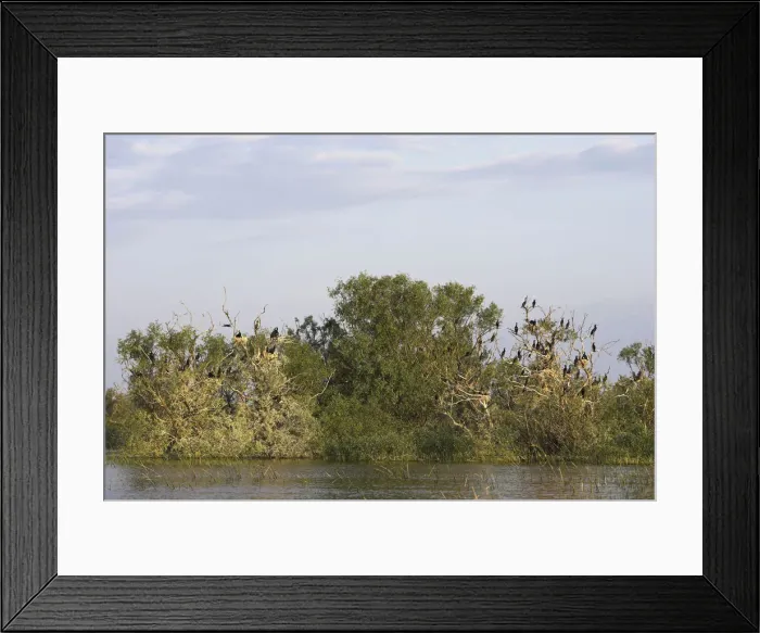 Framed Print : DDE-90034718 Framed Print : DDE-90034718