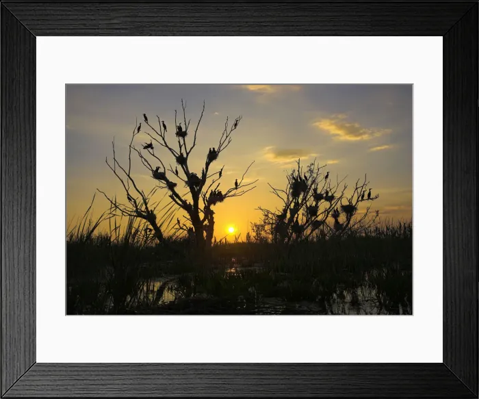 Framed Print : DDE-90034719