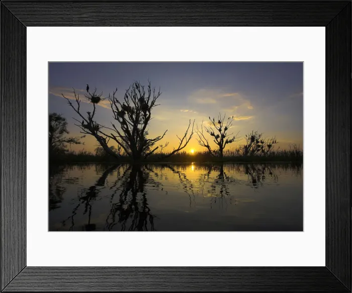 Framed Print : DDE-90034724 Framed Print : DDE-90034724