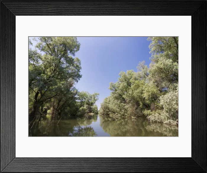 Framed Print : DDE-90034787 Framed Print : DDE-90034787
