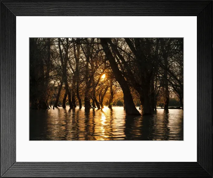 Framed Print : DDE-90034788 Framed Print : DDE-90034788