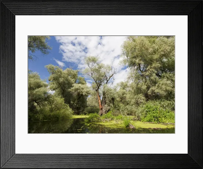 Framed Print : DDE-90034789 Framed Print : DDE-90034789