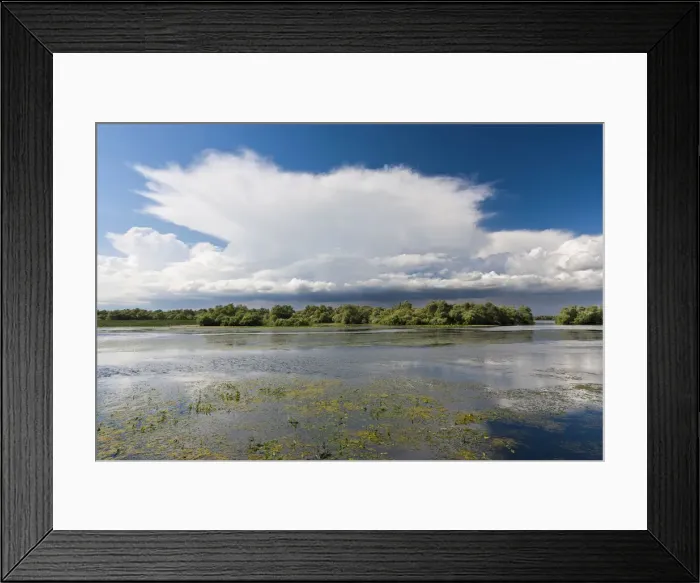 Framed Print : DDE-90034790 Framed Print : DDE-90034790