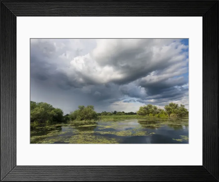 Framed Print : DDE-90034791 Framed Print : DDE-90034791