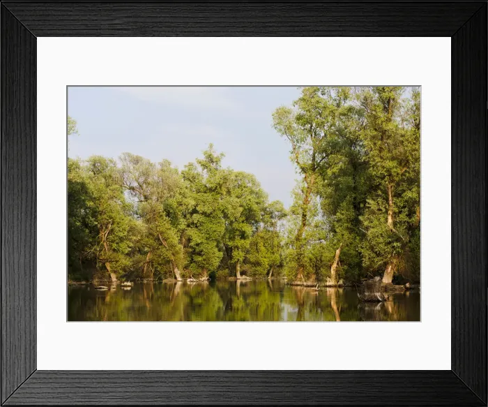 Framed Print : DDE-90034795