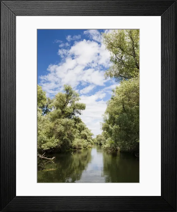Framed Print : DDE-90034796 Framed Print : DDE-90034796