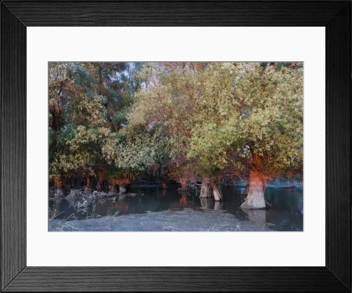 Framed Print : DDE-90034797