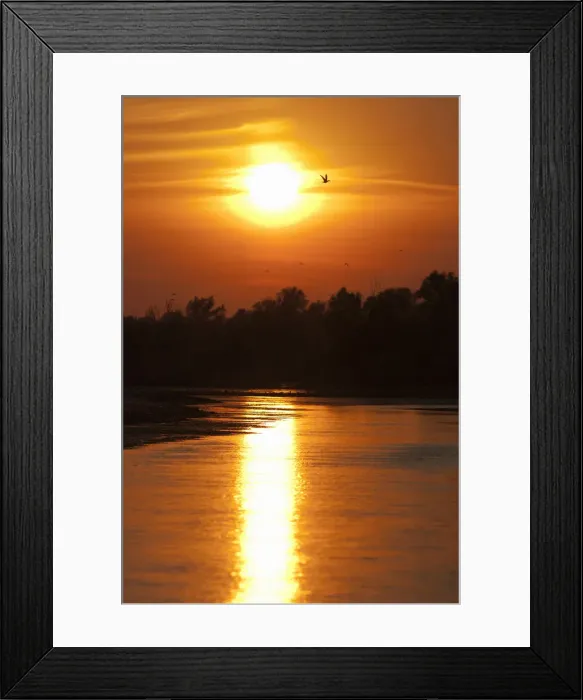 Framed Print : DDE-90034800 Framed Print : DDE-90034800