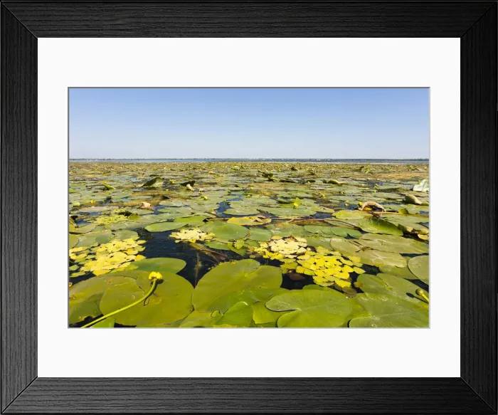 Framed Print : DDE-90034794 Framed Print : DDE-90034794