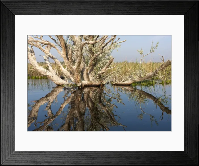 Framed Print : DDE-90034802 Framed Print : DDE-90034802