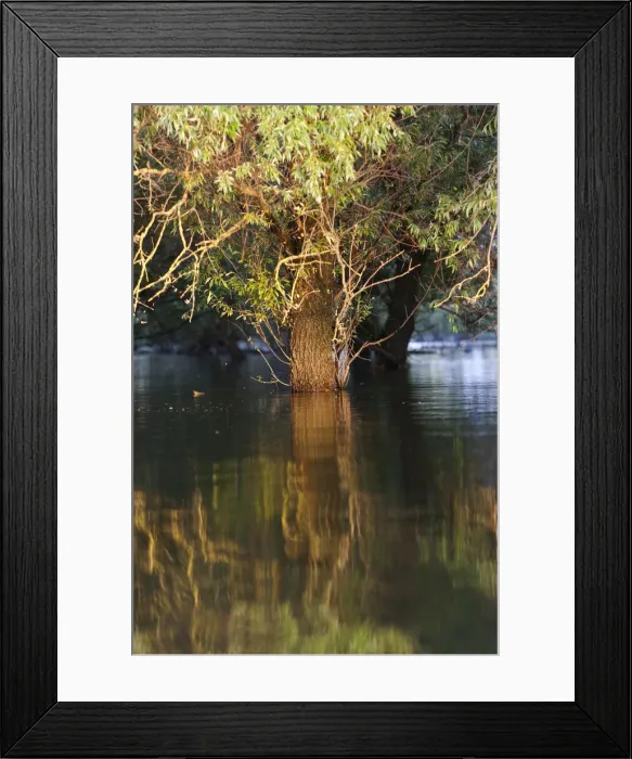 Framed Print : DDE-90034803 Framed Print : DDE-90034803