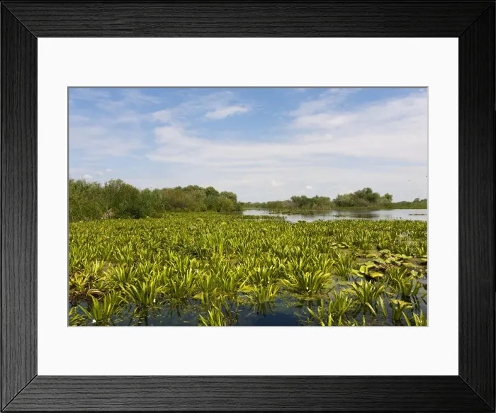 Framed Print : DDE-90034804 Framed Print : DDE-90034804