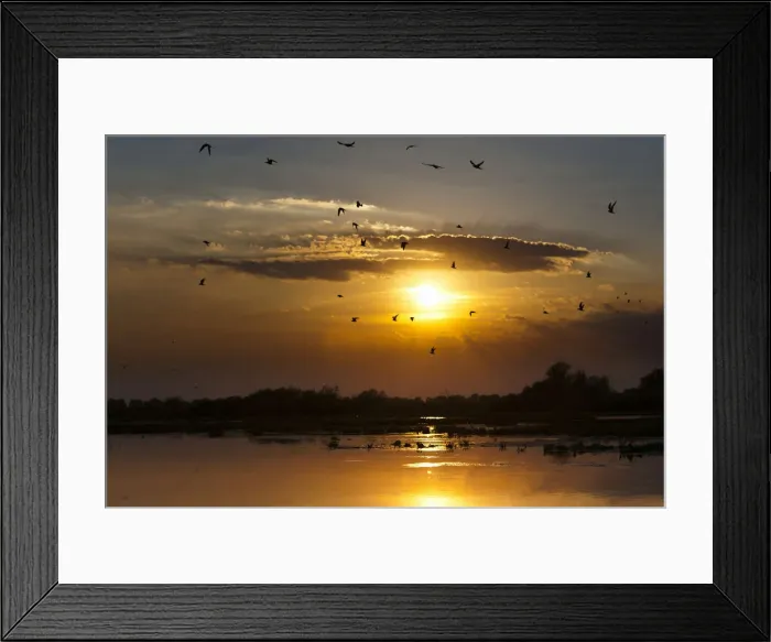 Framed Print : DDE-90034805 Framed Print : DDE-90034805