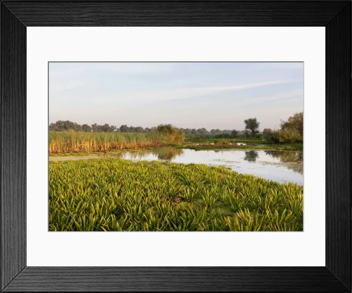 Framed Print : DDE-90034801 Framed Print : DDE-90034801