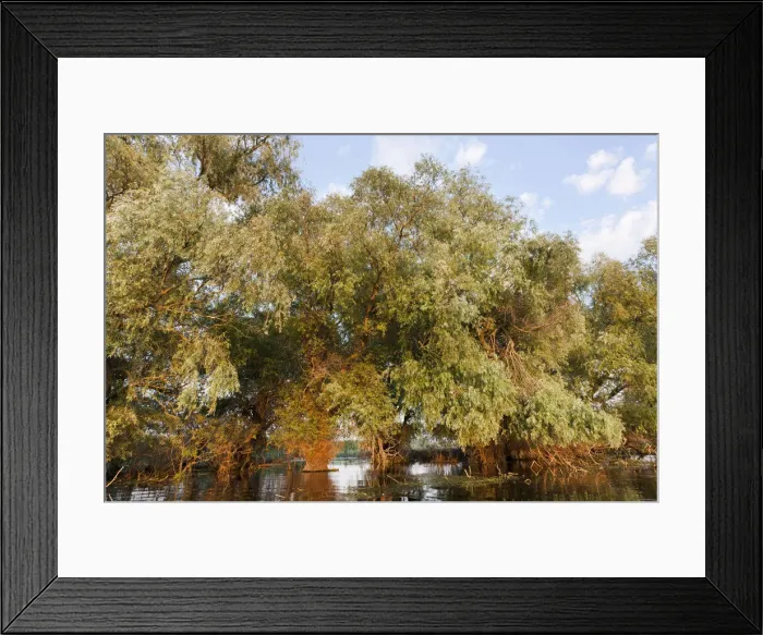Framed Print : DDE-90034807 Framed Print : DDE-90034807