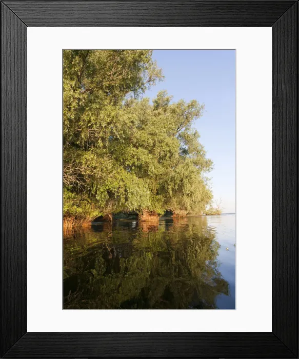 Framed Print : DDE-90034806 Framed Print : DDE-90034806