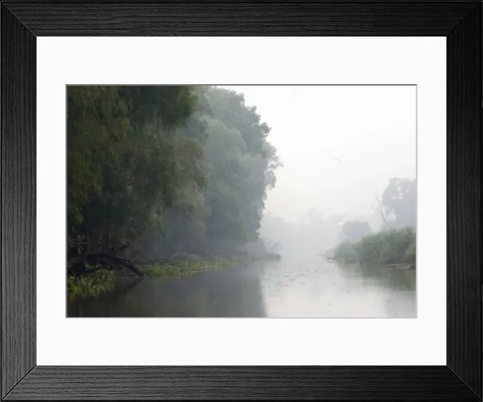 Framed Print : DDE-90034810