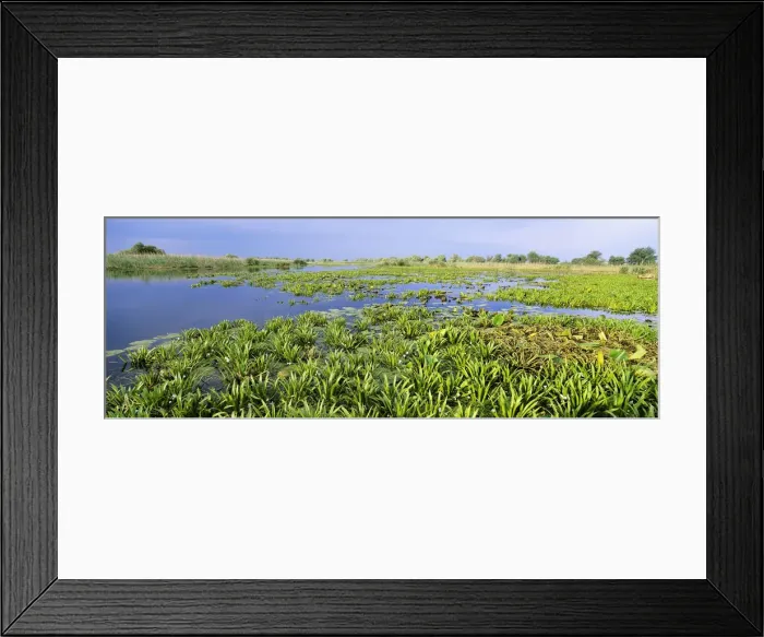 Framed Print : DDE-90034813
