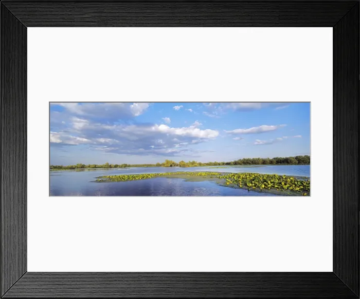 Framed Print : DDE-90034814 Framed Print : DDE-90034814