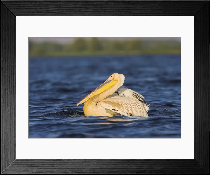 Framed Print : DDE-90034820