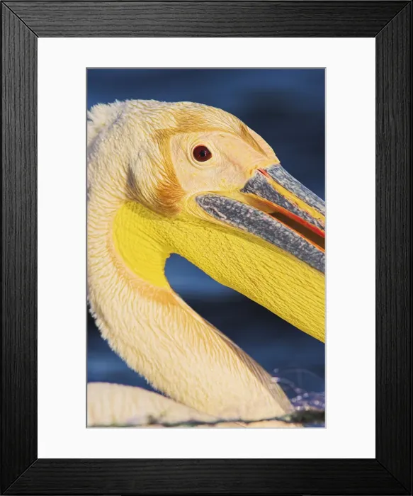 Framed Print : DDE-90034822 Framed Print : DDE-90034822