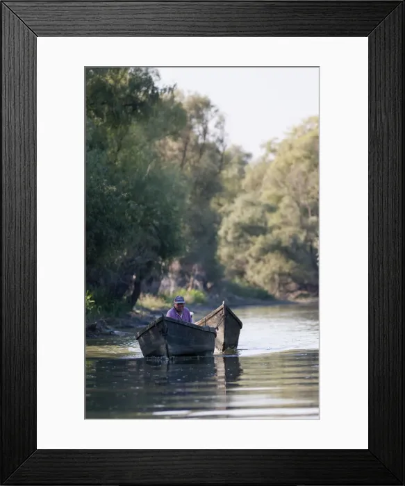 Framed Print : DDE-90034858