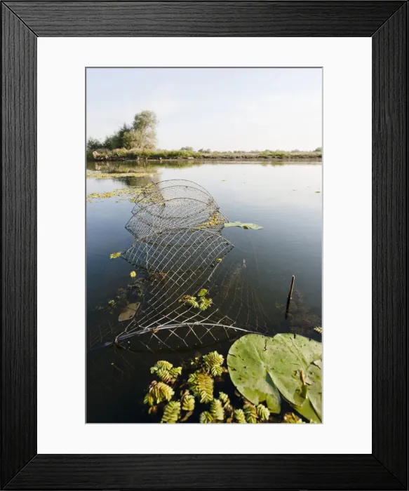 Framed Print : DDE-90034857 Framed Print : DDE-90034857