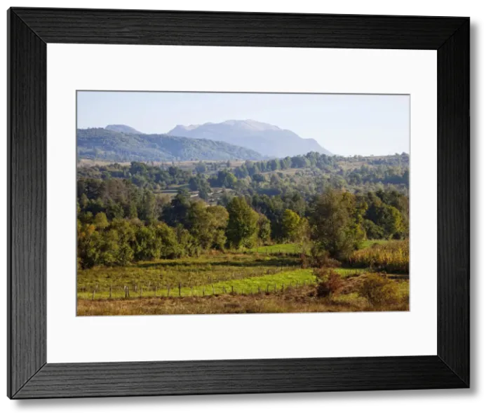 Framed Print : DDE-90034868 Framed Print : DDE-90034868