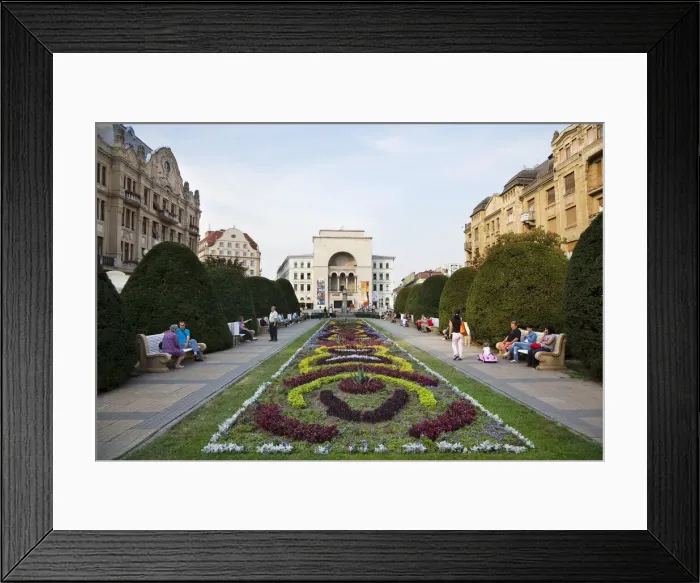 Framed Print : DDE-90034872