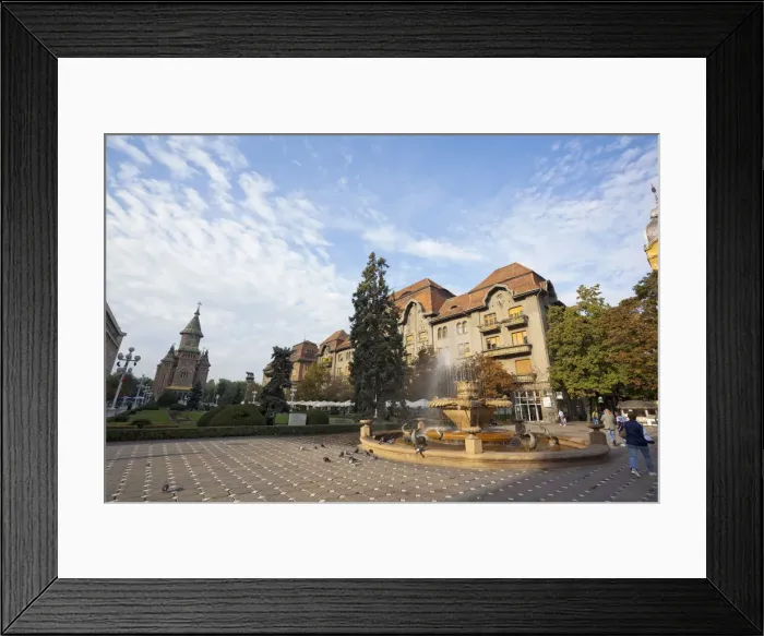 Framed Print : DDE-90034873 Framed Print : DDE-90034873
